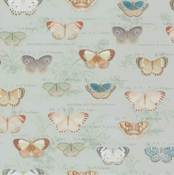 Tapete mit naturgetreuen Schmetterlingen auf hellem Hintergrund im Vintage-Stil von John Derian.