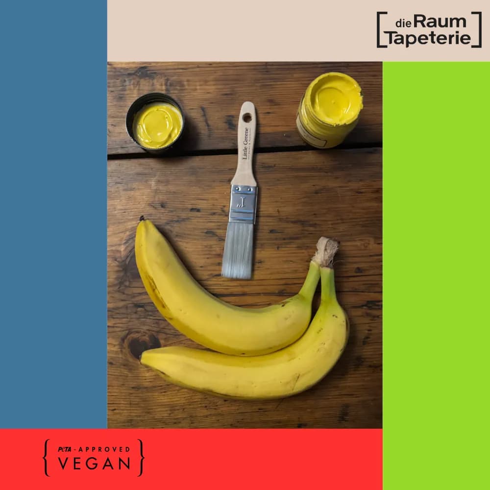 Innenraum der Raumtapeterie in Düsseldorf mit veganen Farben und Tapeten – PeTA-zertifiziertes Fachgeschäft für ethische Raumgestaltung.